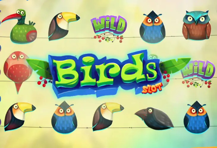 Birds